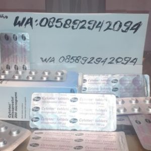 Profile photo of kenzie